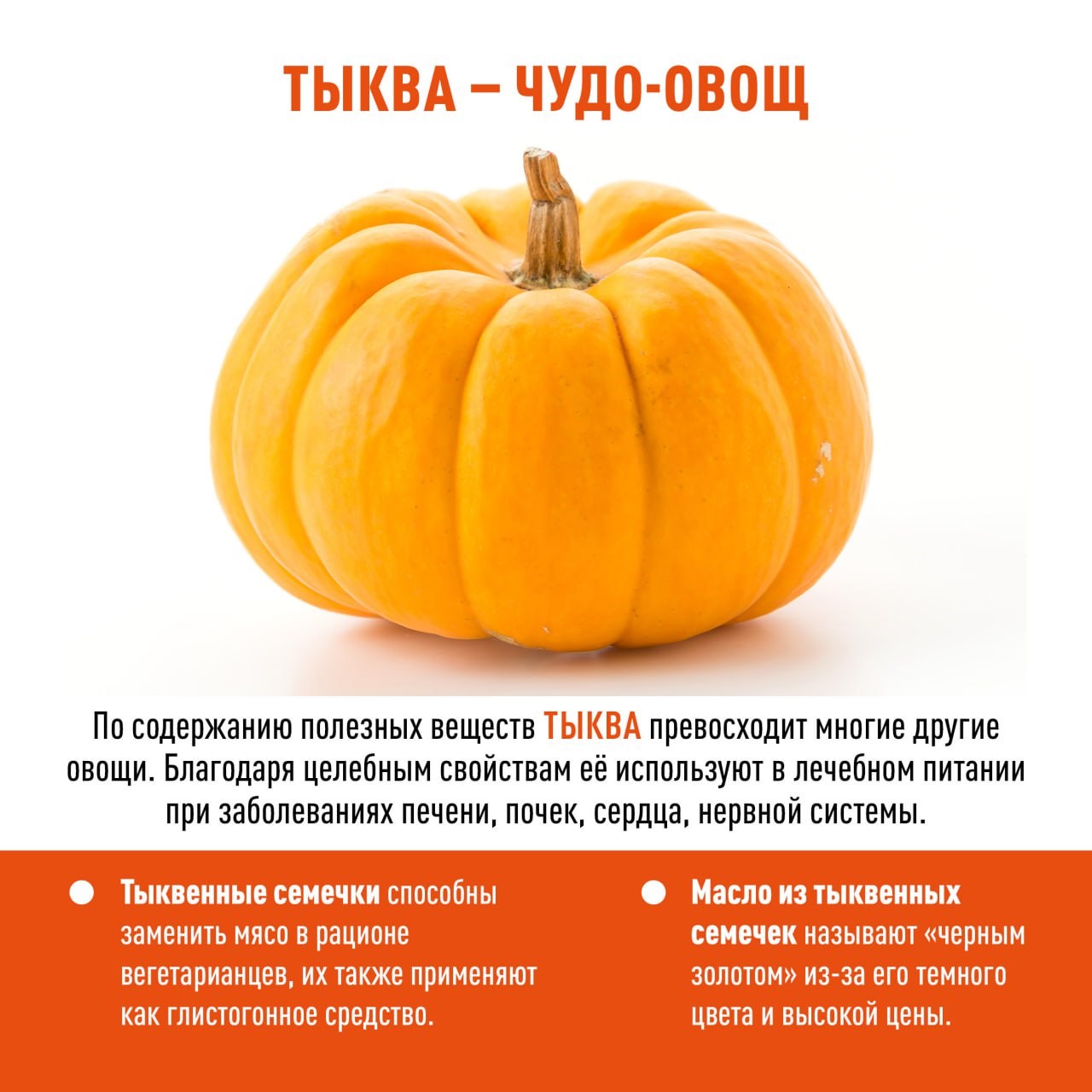 Тыква-чудо-овощ.jpg
