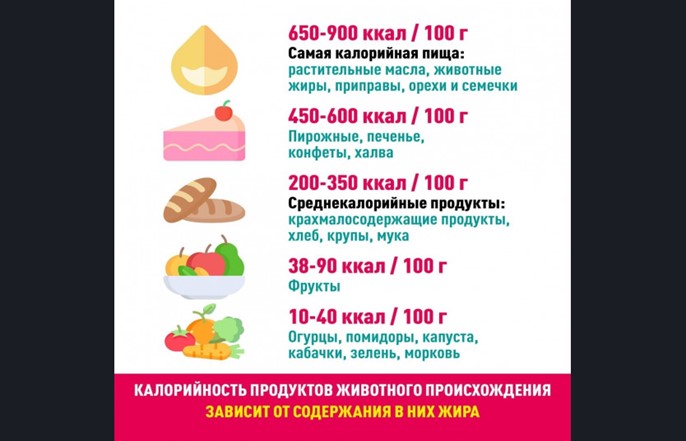 5_щукшкгпег587484к84шгк4г.jpg