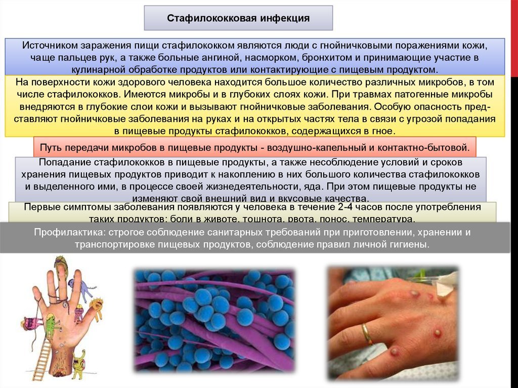 Стафилококковая_инфекция.jpg